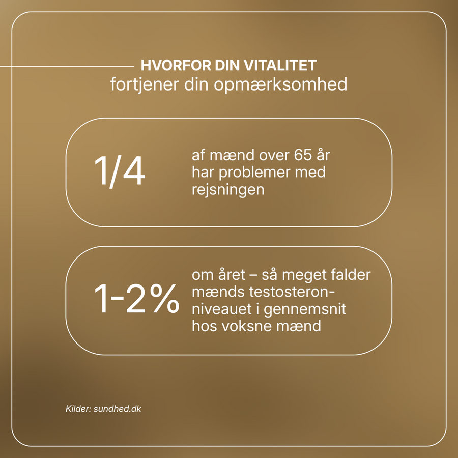 Virizil billede 4