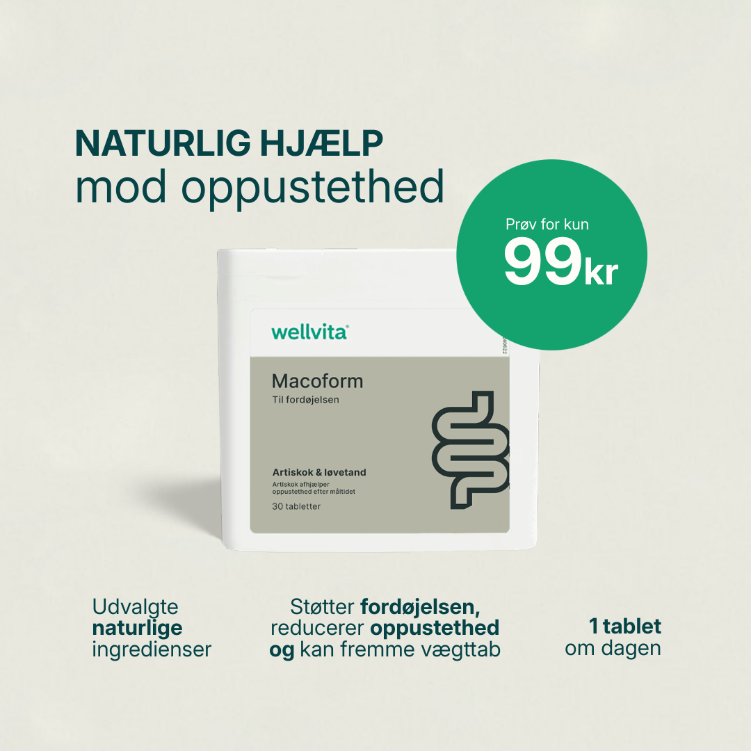 Macoform kosttilskud med artiskok- og mælkebøtteekstrakt til leverafgiftning og fordøjelsesbalance, 30 tabletter.