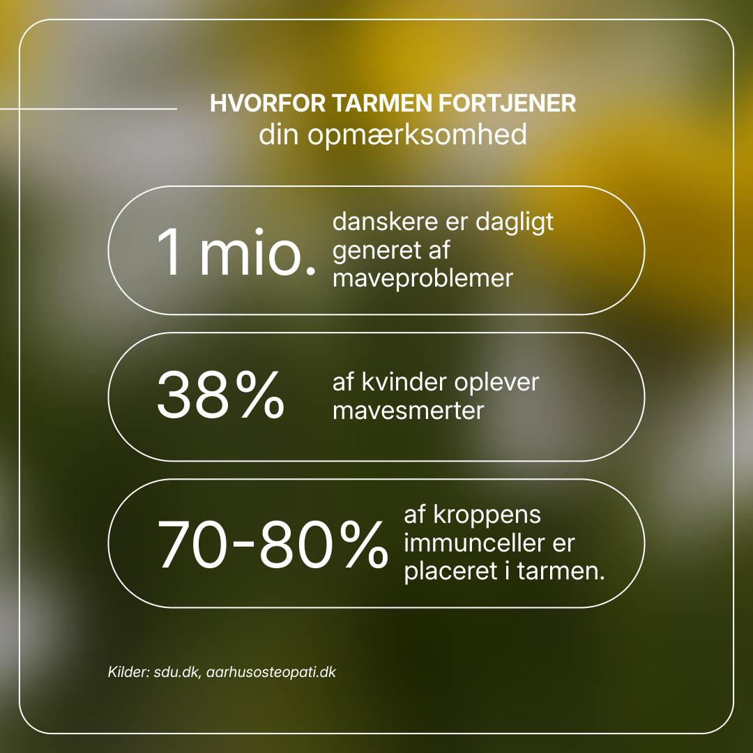 Macoform kosttilskud med artiskok- og mælkebøtteekstrakt til leverafgiftning og fordøjelsesbalance, 30 tabletter.