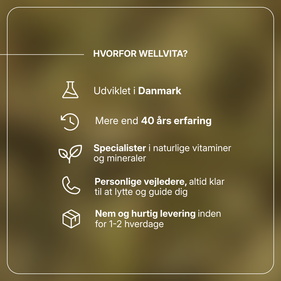 Macoform kosttilskud med artiskok- og mælkebøtteekstrakt til leverafgiftning og fordøjelsesbalance, 30 tabletter.