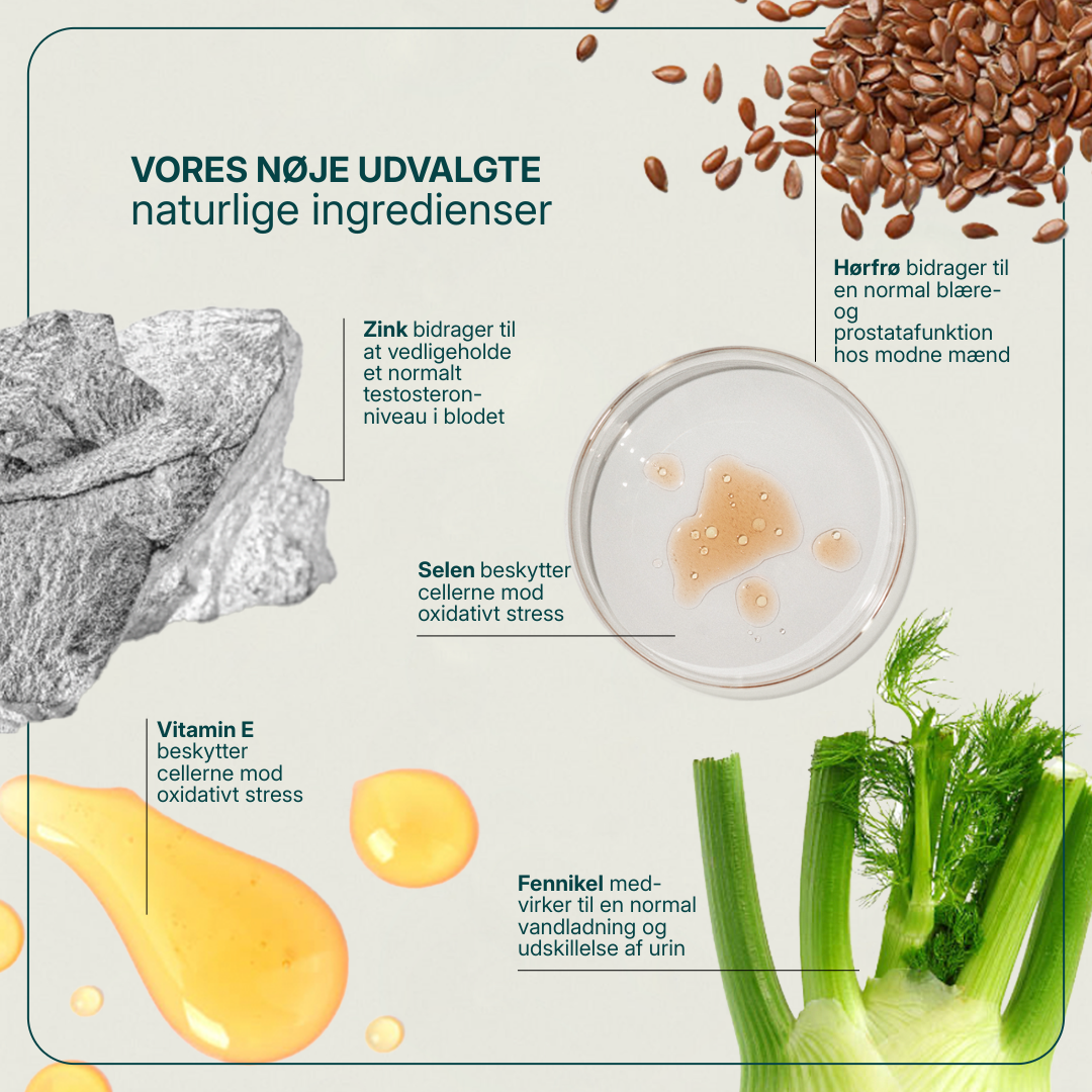 Prostabona Plus billede 3