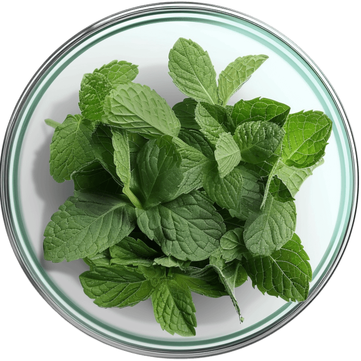 Gestomax produktemballage