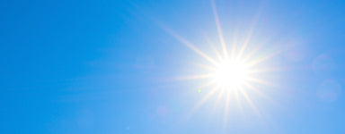 Wellvita WinterBoost immunforsvarskosttilskud med vitaminer og mineraler.