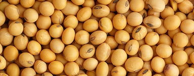 Menoflora supplement with red clover, sage, and soy extract for menopause symptom relief and hormonal balance, 60 tablets